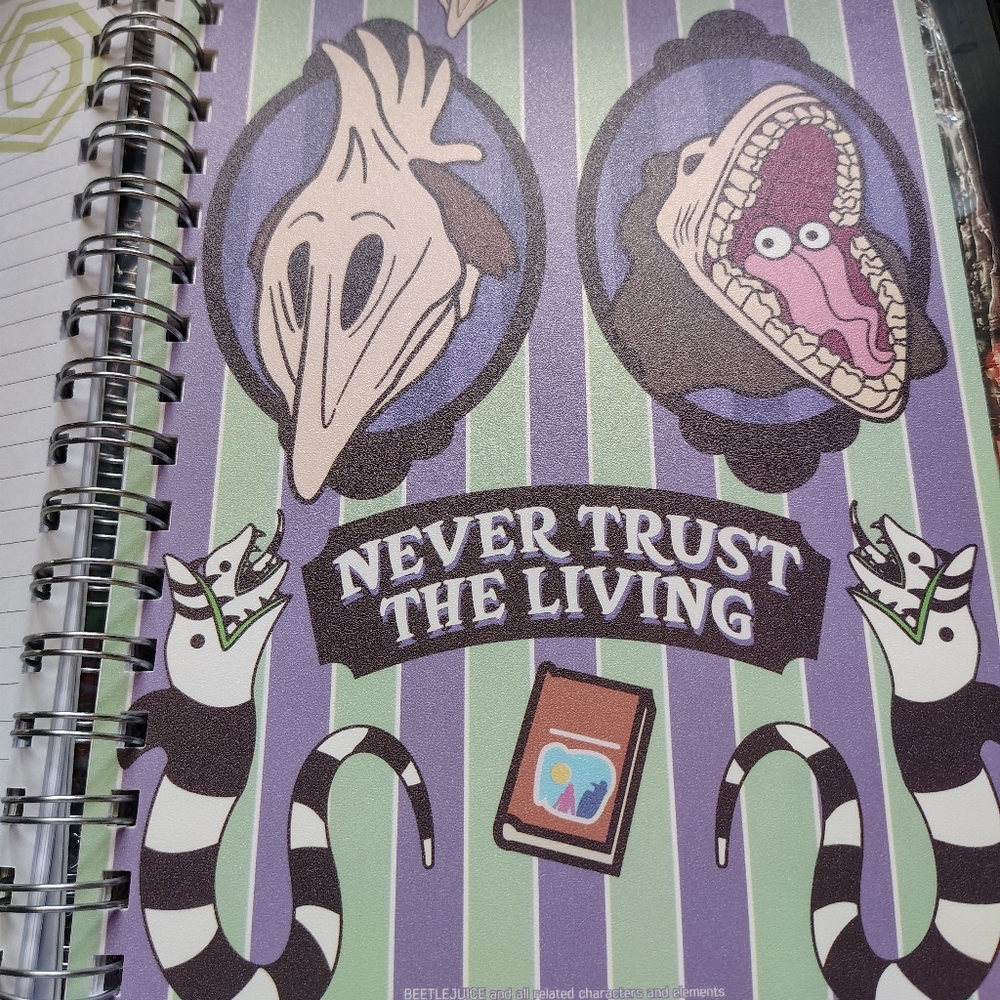 🪲NWT Beetlejuice Vinyl Covered Spiral Journal w/ Vinyl Separators - Picture 13 of 16